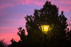 Streetlight som skiner under ett träd fotografering för bildbyråer Streetlight som skiner under ett träd fotografering för bildbyråer