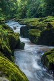 Strid на реке Wharfe около аббатства Bolton стоковое изображение Strid на реке Wharfe около аббатства Bolton стоковое изображение