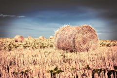 Strohballen nach Ernte auf dem Gebiet lizenzfreies stockbild Strohballen nach Ernte auf dem Gebiet lizenzfreies stockbild