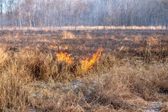 A strong fire spreads in gusts of wind through dry grass royalty free stock images A strong fire spreads in gusts of wind through dry grass royalty free stock images