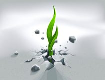 Strong Sprout, Pushing Out Royalty Free Stock Image Strong Sprout, Pushing Out Royalty Free Stock Image