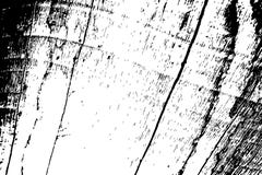 struktura drewniana grungy Wietrzejąca driftwood czarny i biały tekstura Szorstka drewno deski powierzchnia ilustracji struktura drewniana grungy Wietrzejąca driftwood czarny i biały tekstura Szorstka drewno deski powierzchnia ilustracji