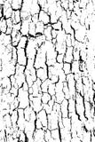 Struttura in bianco e nero afflitta di vettore di lerciume di semitono - vecchia struttura di legno della corteccia illustrazione vettoriale Struttura in bianco e nero afflitta di vettore di lerciume di semitono - vecchia struttura di legno della corteccia illustrazione vettoriale
