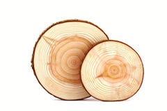 Struttura degli anelli di albero. fotografie stock libere da diritti Struttura degli anelli di albero. fotografie stock libere da diritti