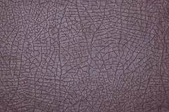 Struttura porpora del fondo della copertina di libro di cuoio artificiale Immagine o macro di alta risoluzione immagine stock Struttura porpora del fondo della copertina di libro di cuoio artificiale Immagine o macro di alta risoluzione immagine stock