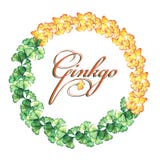 Struttura rotonda di giallo e foglie verdi del ginkgo biloba watercolor Stampa, invito, cartolina d'auguri illustrazione vettoriale Struttura rotonda di giallo e foglie verdi del ginkgo biloba watercolor Stampa, invito, cartolina d'auguri illustrazione vettoriale