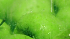 Strömendes Wasser über Superzeitlupeabschluß der grünen Äpfel herauf Transportwagenschuß stock video Strömendes Wasser über Superzeitlupeabschluß der grünen Äpfel herauf Transportwagenschuß stock video