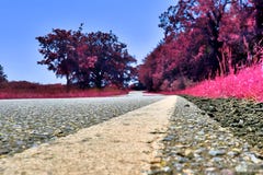 Stunning infrared view on purple fantasy landscapes with some ashpalt roads stock photos Stunning infrared view on purple fantasy landscapes with some ashpalt roads stock photos