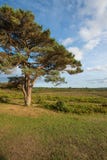 Stunning Summer sunset landscape image of Bratley View in New Fo Royalty Free Stock Photos Stunning Summer sunset landscape image of Bratley View in New Fo Royalty Free Stock Photos