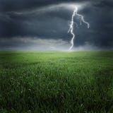 Sturm auf dem Feld II Sturm auf dem Feld II