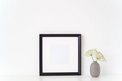 Minimal elegant black portrait square frame mock up with a Aegopodium podagraria in gray vase. Mockup for quote Royalty Free Stock Photos Minimal elegant black portrait square frame mock up with a Aegopodium podagraria in gray vase. Mockup for quote Royalty Free Stock Photos