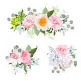 Stylish various flowers bouquets vector design set. Green