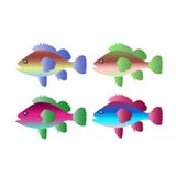 Ställ in av illustrationer av den färgrika fisken eps10 blommar yellow för wallpaper för vektor för klippning för rac för orange stock illustrationer Ställ in av illustrationer av den färgrika fisken eps10 blommar yellow för wallpaper för vektor för klippning för rac för orange stock illustrationer