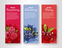 Ställ in av 3 vertikala banerreklamblad med färgstänk av fruktsaft av olika röda bär Bären är handen som dras i vektor vektor illustrationer Ställ in av 3 vertikala banerreklamblad med färgstänk av fruktsaft av olika röda bär Bären är handen som dras i vektor vektor illustrationer