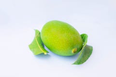 Stäng sig upp av gröna isolerade mango och gröna sidor royaltyfri bild Stäng sig upp av gröna isolerade mango och gröna sidor royaltyfri bild