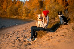Stående av den lyckliga flickan med den roliga border collie hunden för två på stranden på sjösidan gul skog för höst på bakgrund royaltyfri foto Stående av den lyckliga flickan med den roliga border collie hunden för två på stranden på sjösidan gul skog för höst på bakgrund royaltyfri foto