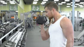 Stående av den starka idrotts- mannen på idrottshallutbildningen kroppsbyggaren gör en övning på bicepens med hantlar arkivbilder Stående av den starka idrotts- mannen på idrottshallutbildningen kroppsbyggaren gör en övning på bicepens med hantlar arkivbilder