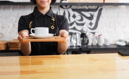 Stående av den unga baristaen på coffee shopräknaren arkivbilder Stående av den unga baristaen på coffee shopräknaren arkivbilder