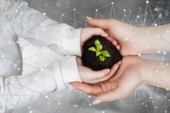 Stötta tillväxten och utvecklingen av en ny innovation i nätverket royaltyfria bilder Stötta tillväxten och utvecklingen av en ny innovation i nätverket royaltyfria bilder