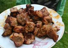 Stücke des gebratenen Schweinefleisch mit Gewürzen auf der weißen Platte stockbilder Stücke des gebratenen Schweinefleisch mit Gewürzen auf der weißen Platte stockbilder