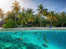 Subacqueo con il pesce variopinto ed i coralli immagine stock libera da diritti Subacqueo con il pesce variopinto ed i coralli immagine stock libera da diritti