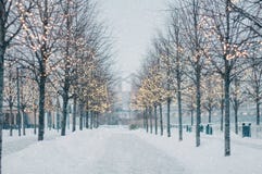 Suddig vinterträdgränd med fallande snö och skinande girlander i skymning royaltyfri fotografi Suddig vinterträdgränd med fallande snö och skinande girlander i skymning royaltyfri fotografi