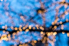 Suddiga julgranljus med blå himmel arkivfoton Suddiga julgranljus med blå himmel arkivfoton