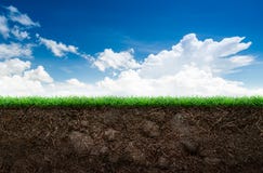 Suelo e hierba en cielo azul Suelo e hierba en cielo azul
