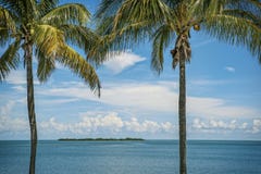 Sueño con el paraíso Una oportunidad fotos de archivo Sueño con el paraíso Una oportunidad fotos de archivo