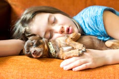 Sueño dulce perro de Juguete-Terrier que duerme con su dueño de la muchacha fotos de archivo libres de regalías Sueño dulce perro de Juguete-Terrier que duerme con su dueño de la muchacha fotos de archivo libres de regalías