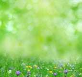 summer background stock image summer background stock image