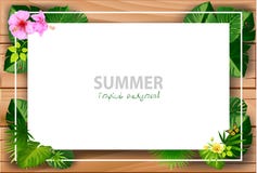 Tropical island circlet of beautiful plants vector illustration Tropical island circlet of beautiful plants vector illustration