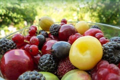 Summer berries raspberry red currant strawberry kozhovnik and sweet cherry in a glass bowl stock images Summer berries raspberry red currant strawberry kozhovnik and sweet cherry in a glass bowl stock images