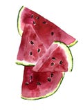 Summer bright watercolor postcard with pieces of watermelon. stock illustration Summer bright watercolor postcard with pieces of watermelon. stock illustration
