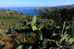 Summer: a cove cliff of cape of the Crosses in Spain with blue sea stock images Summer: a cove cliff of cape of the Crosses in Spain with blue sea stock images