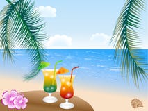 Summer Drinks Royalty Free Stock Images Summer Drinks Royalty Free Stock Images