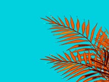 Summer holiday of an abstract background with palm leaves stock illustration Summer holiday of an abstract background with palm leaves stock illustration
