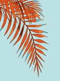 Summer holiday of an abstract background with palm leaves royalty free illustration Summer holiday of an abstract background with palm leaves royalty free illustration