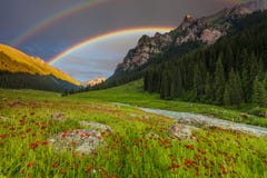 Summer Landscape In Mountains With Flowers, A Rainbow Royalty Free Stock Photography