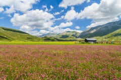 Summer landscape at Piano Grande mountain plateau, Umbria, Italy stock images Summer landscape at Piano Grande mountain plateau, Umbria, Italy stock images