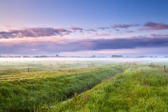 Summer Misty Morning Over Meadows Stock Images Summer Misty Morning Over Meadows Stock Images