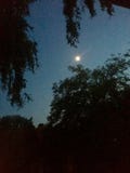 Full moon royalty free stock photo Full moon royalty free stock photo