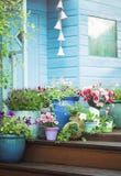 Summer potted flowers and garden shed
