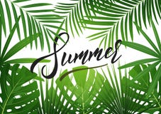 Summer. Tropical background with exotic palnts. Banner for summer sale, promotion, party events vector illustration Summer. Tropical background with exotic palnts. Banner for summer sale, promotion, party events vector illustration