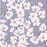 Summer Vector garden floral seamless pattern.White flowers pattern blooming royalty free illustration Summer Vector garden floral seamless pattern.White flowers pattern blooming royalty free illustration