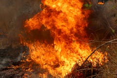 Summer Wildfires Burning In The Forest At Rural Area Of Khon Kaen,Thailand. Stock Photos Summer Wildfires Burning In The Forest At Rural Area Of Khon Kaen,Thailand. Stock Photos