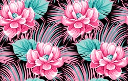 Sum?rio cl?ssico da flor com fundo preto ilustração royalty free Sum?rio cl?ssico da flor com fundo preto ilustração royalty free