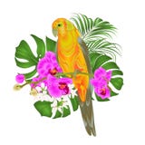Sun Conure Parrot tropical bird standing on a purple orchid Phalaenopsis and palm, phiodendronon a white background vector illust Stock Photos Sun Conure Parrot tropical bird standing on a purple orchid Phalaenopsis and palm, phiodendronon a white background vector illust Stock Photos