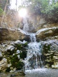 Waterfall in the forest royalty free stock image Waterfall in the forest royalty free stock image