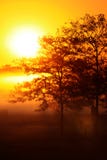 Sun stigning arkivfoto